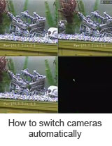 How to switch cameras automatically